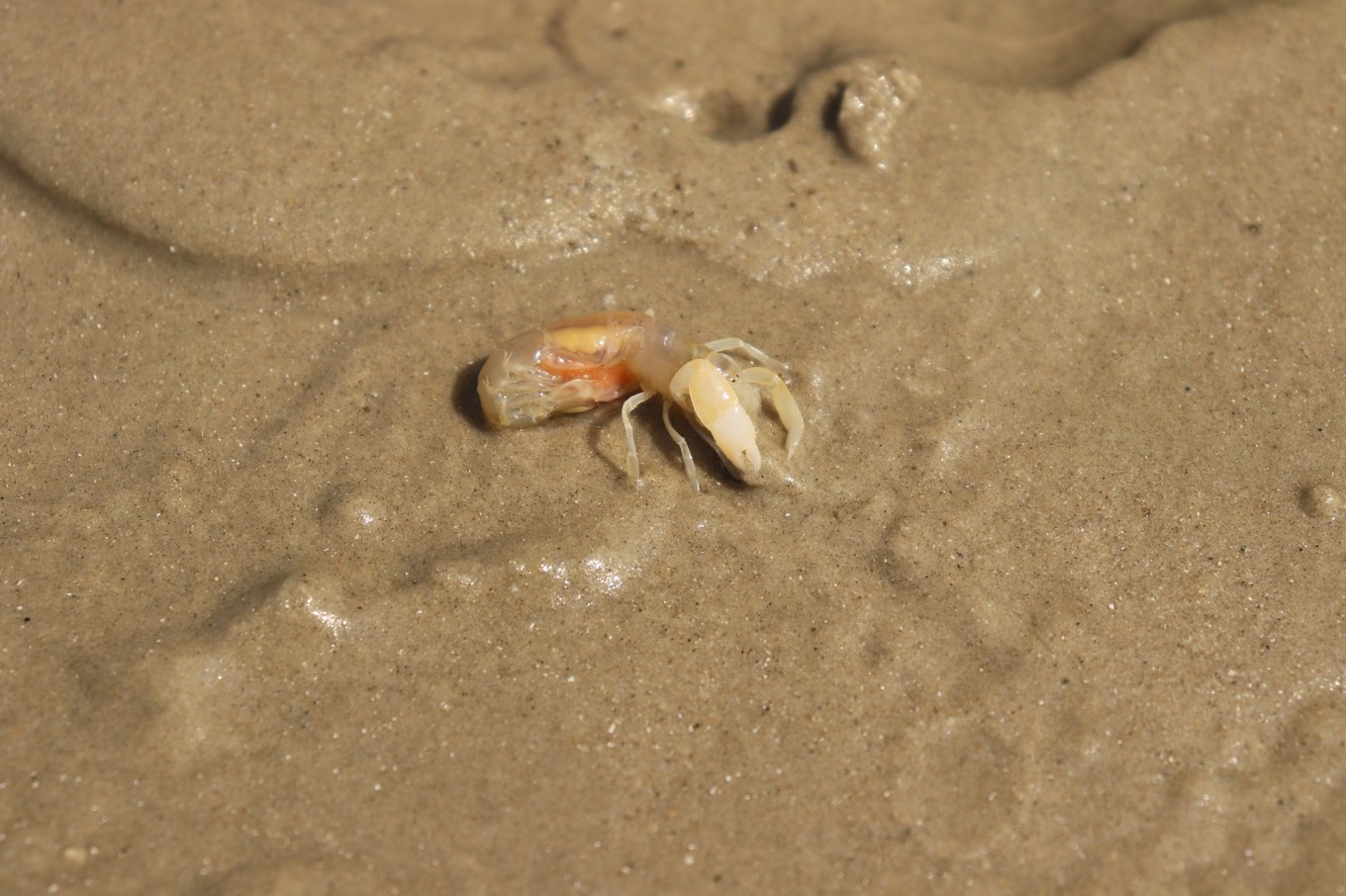 鑷┚鍖楁捣鏃呮父鏀荤暐,鍖楁捣璧舵捣鏃呮父鏀荤暐