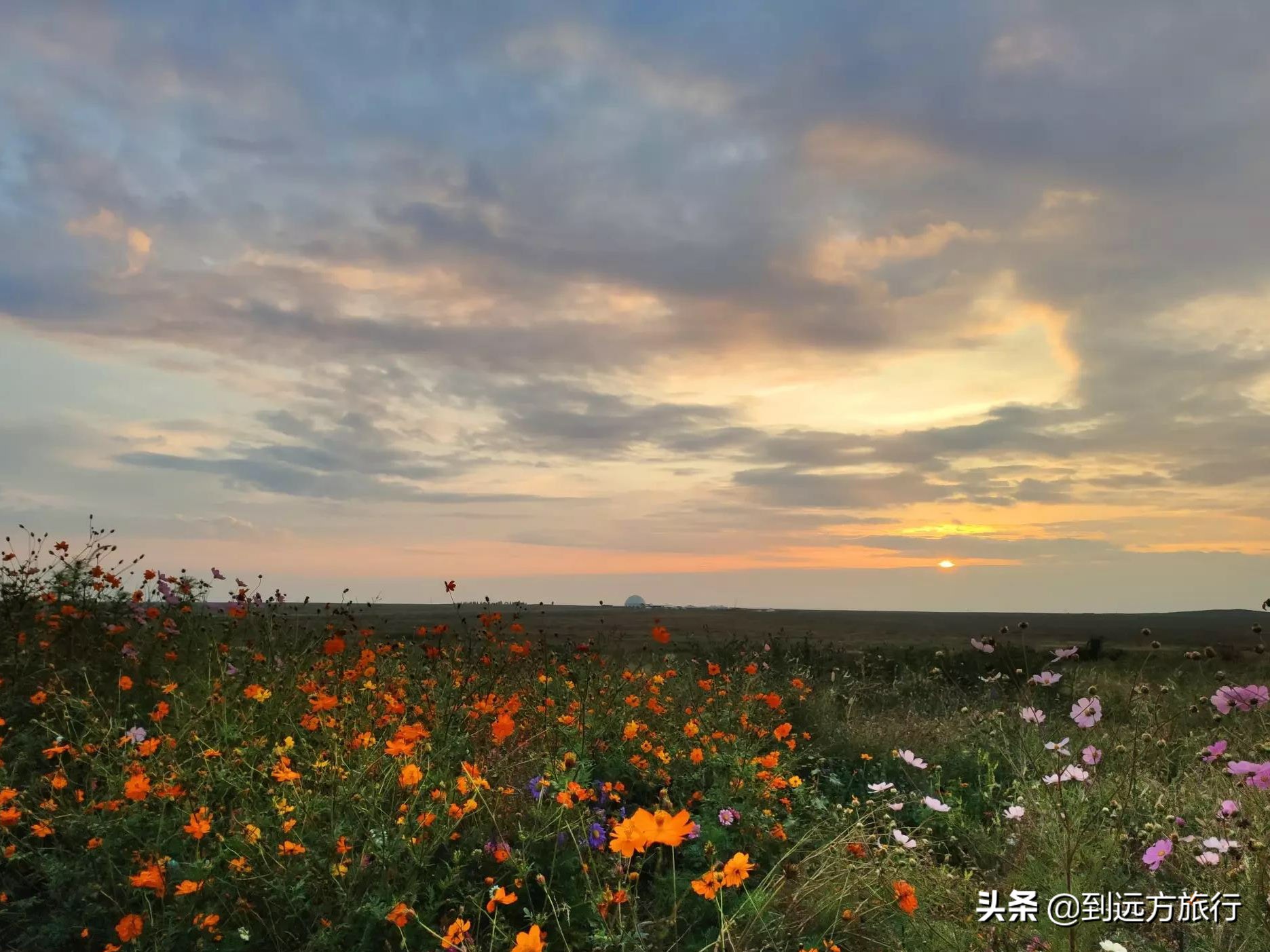 到鄂尔多斯旅游价格实惠,7月初到鄂尔多斯草原玩行吗