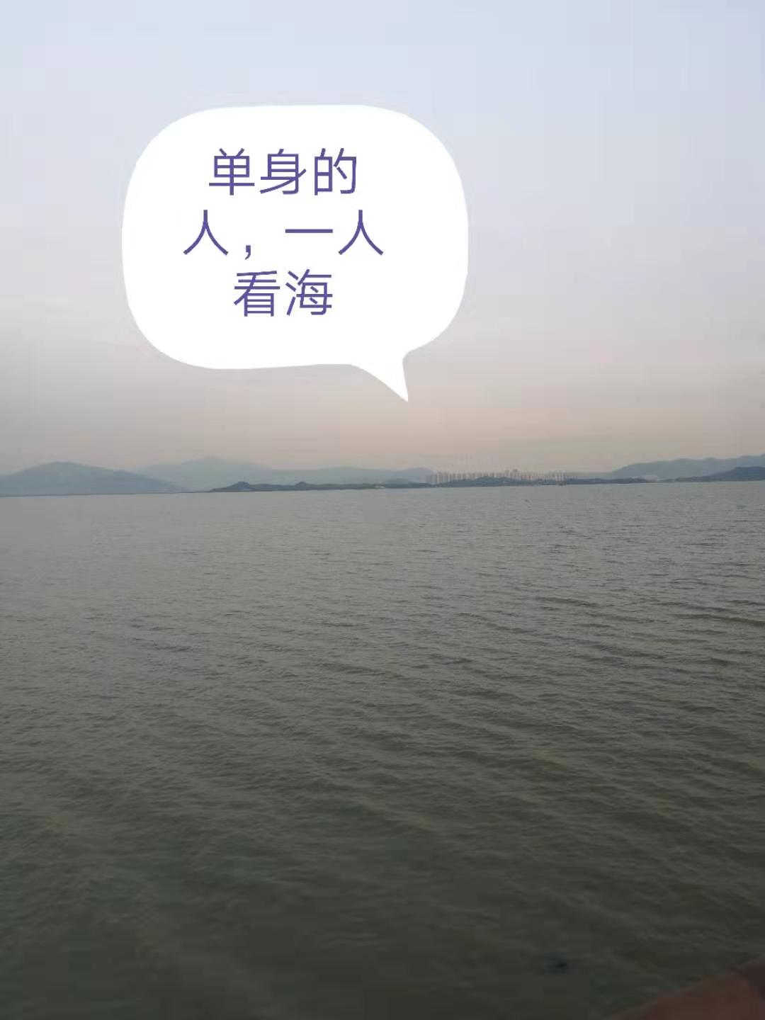 那些单身的人都去哪儿了,那些单身到老的人