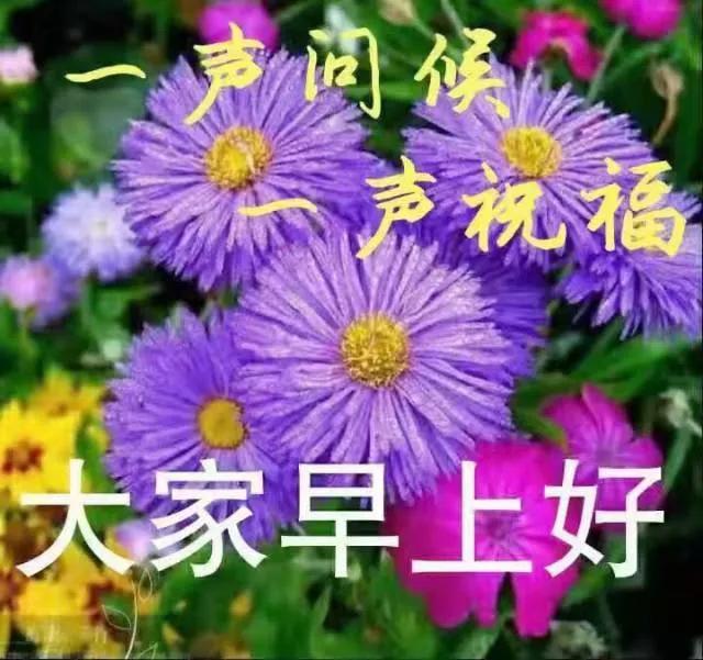 唯美好看的早安图片带祝福语,暖心早安祝福唯美图片带字