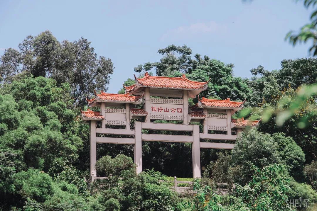 鍘夊浜嗘垜鐨勫ぇ閽﹀窞,鍘夊浜嗘垜鐨勫ぇ淇濆畾