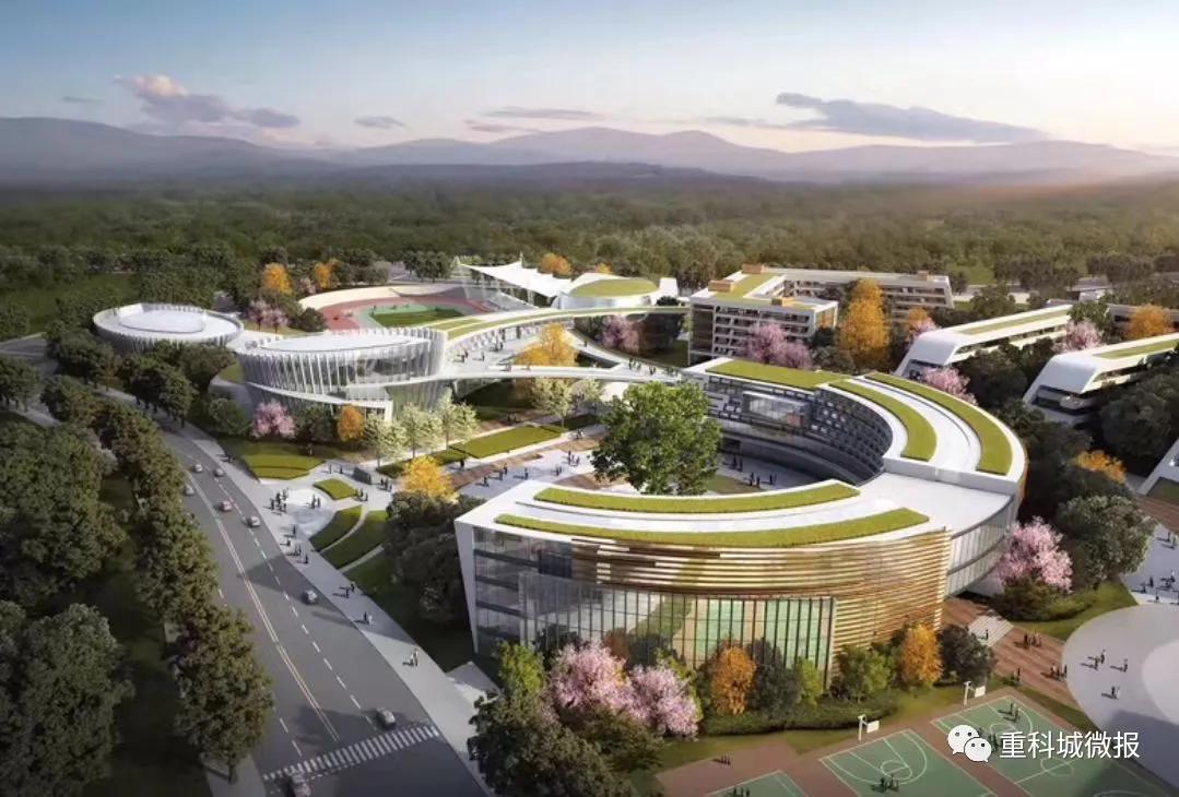 南开中学、南渝中学、树人小学、沙坪坝小学……这些名校扎堆了