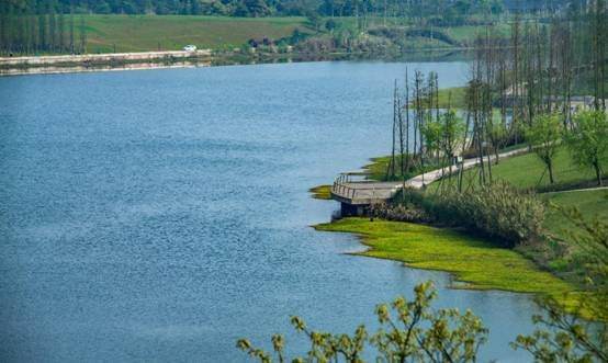 重庆亚洲杯体育场,亚洲杯足球场重庆