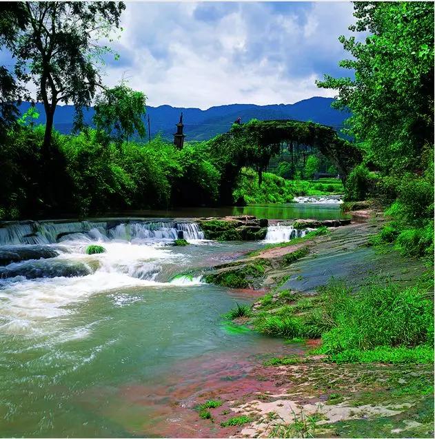 雨城区上里古镇,雅安上里镇历史