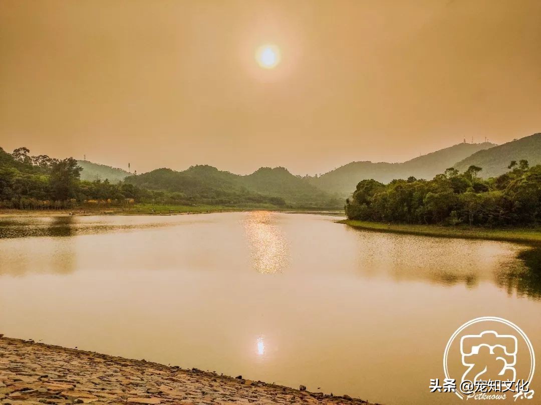 广州南沙黄山鲁森林公园攻略,广州附近可以带宠物的旅游景点