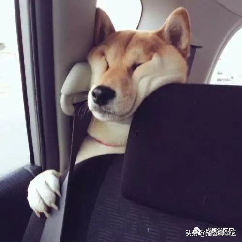 成都锦江二区适合挂户口的楼盘,锦江区租房挂房