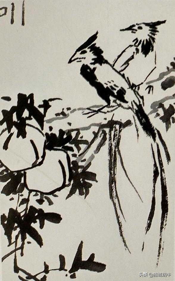 国画飞着绶带鸟的画法步骤,国画绶带鸟的画法