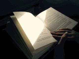 小学语文最全关联词用法重点讲解,小学语文关联词知识点