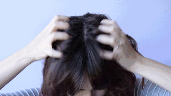 康王之父,康王之父周家礽