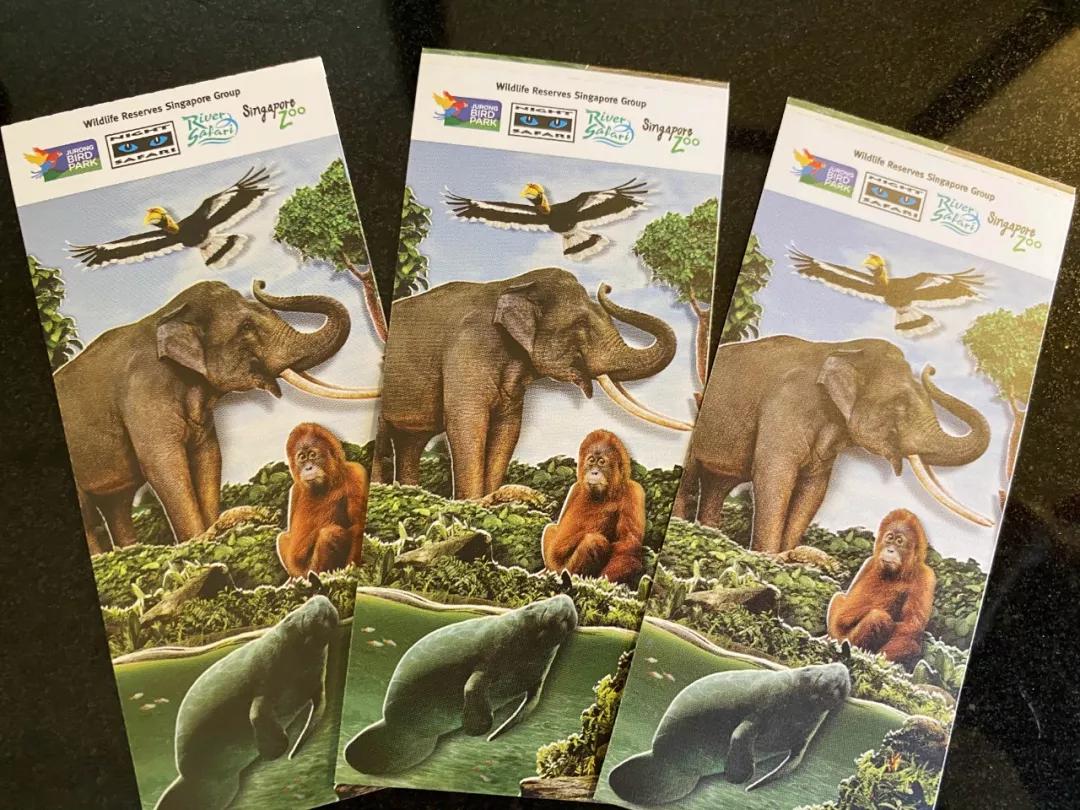 疫情期间去埃及旅游的亲历,疫情期间从深圳直飞洛杉矶体验