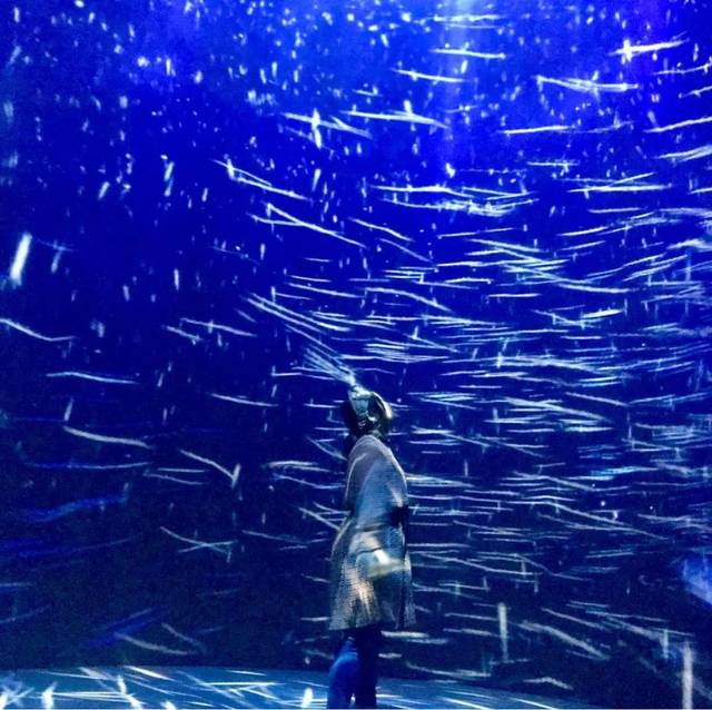 Instagram的光之森林，全球最大型的投影艺术比赛，目不暇接