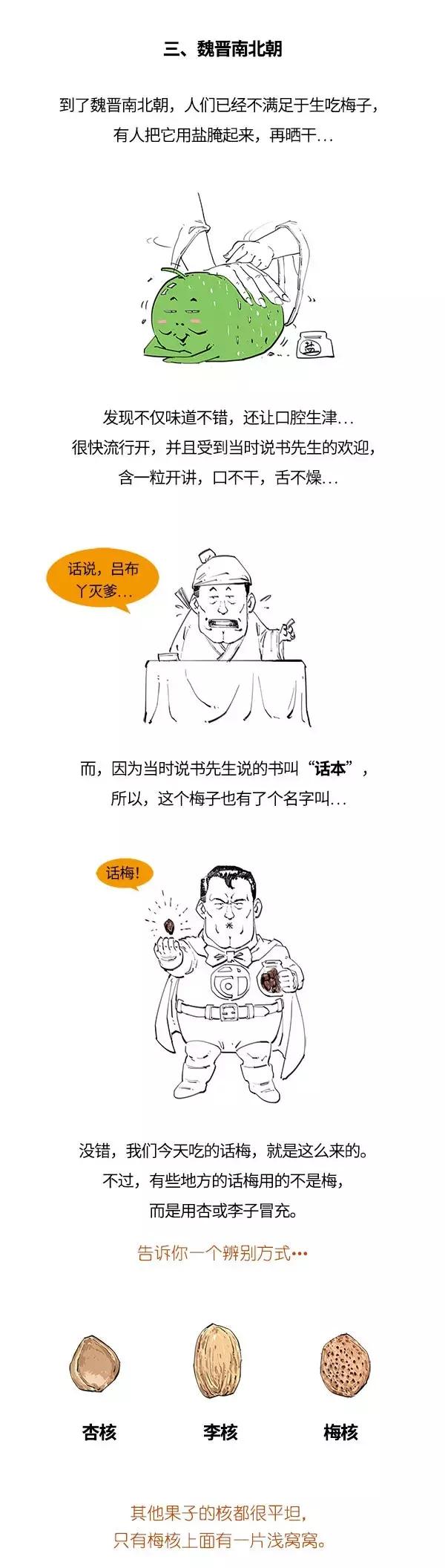 酵素青梅的功效与作用点,青梅有酵素