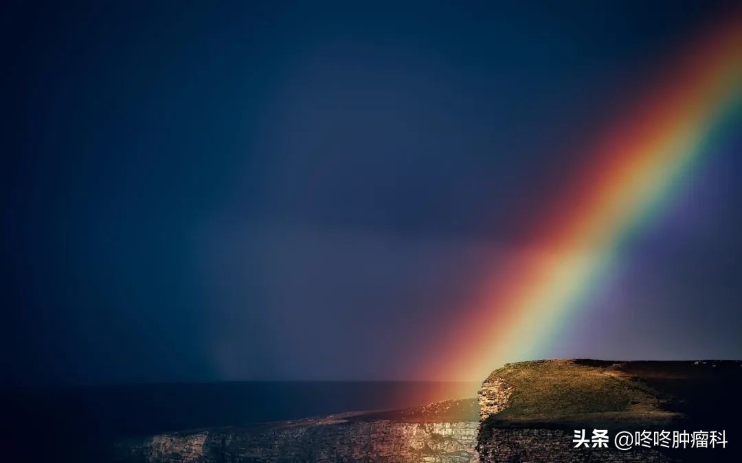 肿瘤治疗进入“全民免疫”时代！术后患者也可使用，完全缓解率暴涨