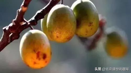 最养人的十种手串品种,最治病的手串