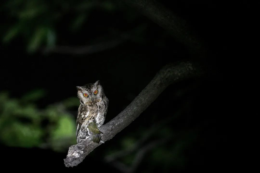 香港第14届全国摄影艺术展,第29届全国摄影艺术展览获奖名单