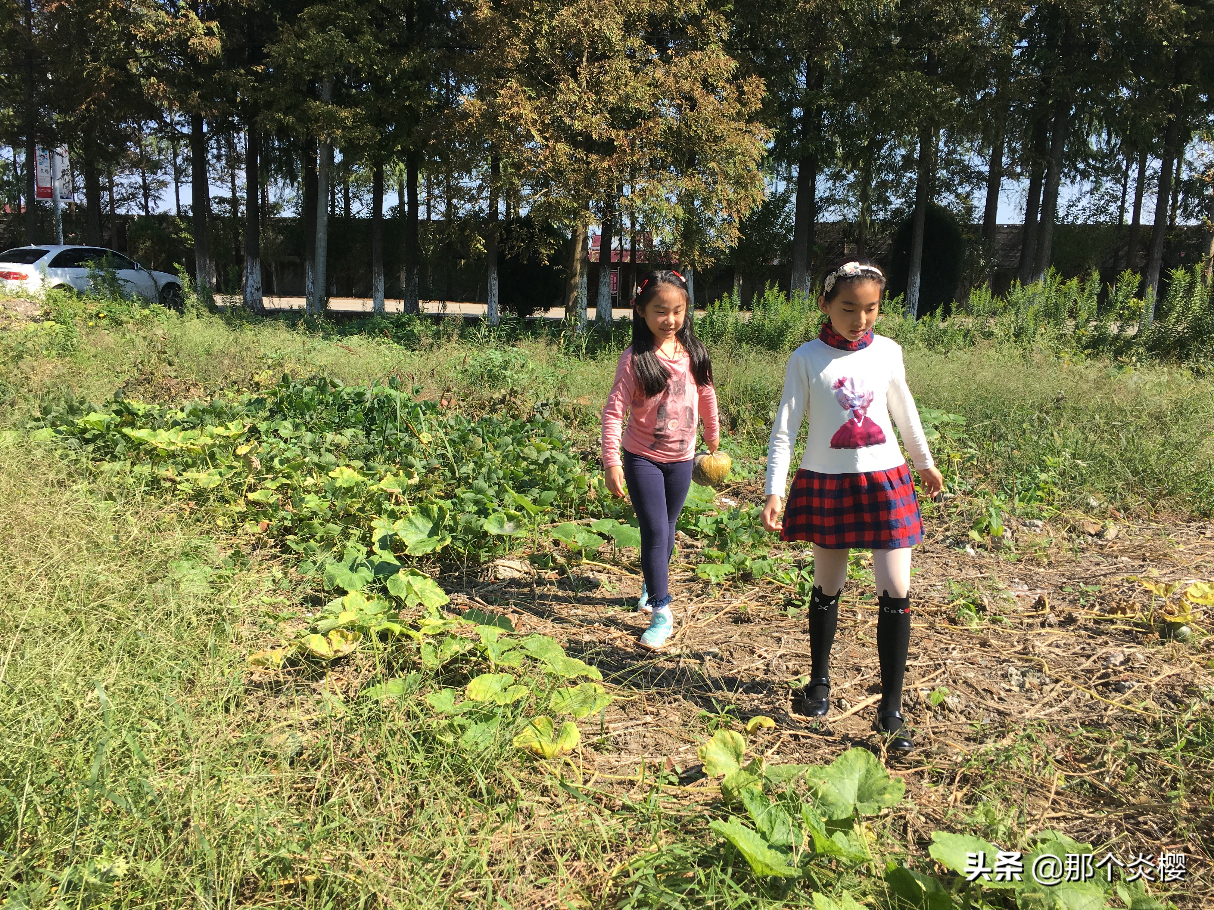 上海崇明农家乐三天二夜推荐,平凡生活琐碎日常油盐酱醋茶
