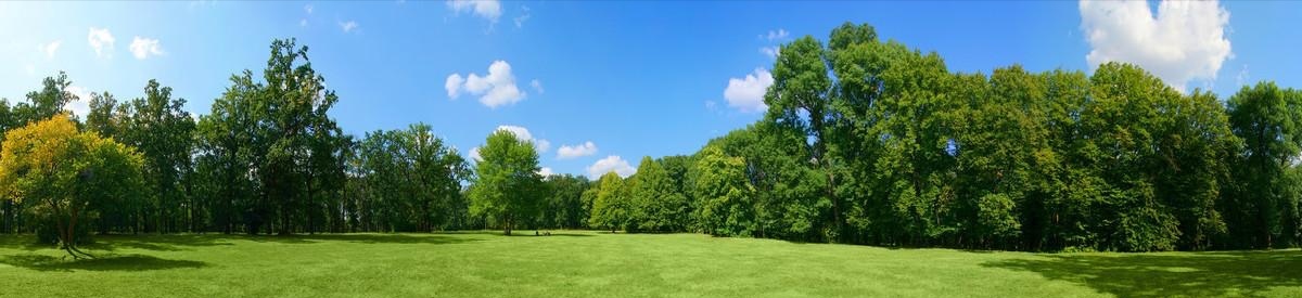 左眼跳财右眼跳灾这个说法准确吗,左眼跳右眼跳的真正含义绝不迷信