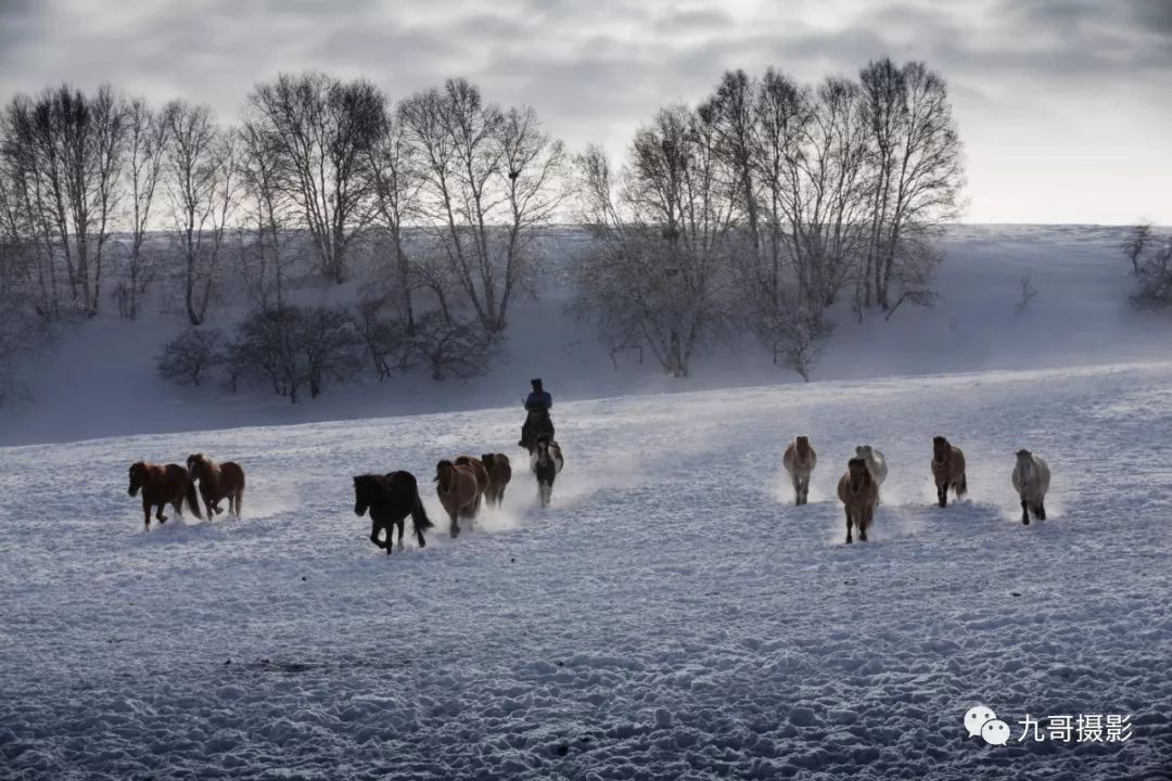 坝上草原天路美景,大美坝上风光系列之一