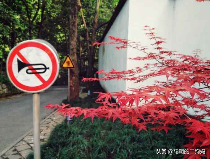 灵隐寺招人，10万网友求职上热搜！4点下班、条件只有一个...