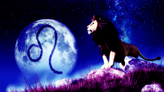 高冷的聪明的男生最喜欢什么女生,大龄摩羯男喜欢什么样的女生