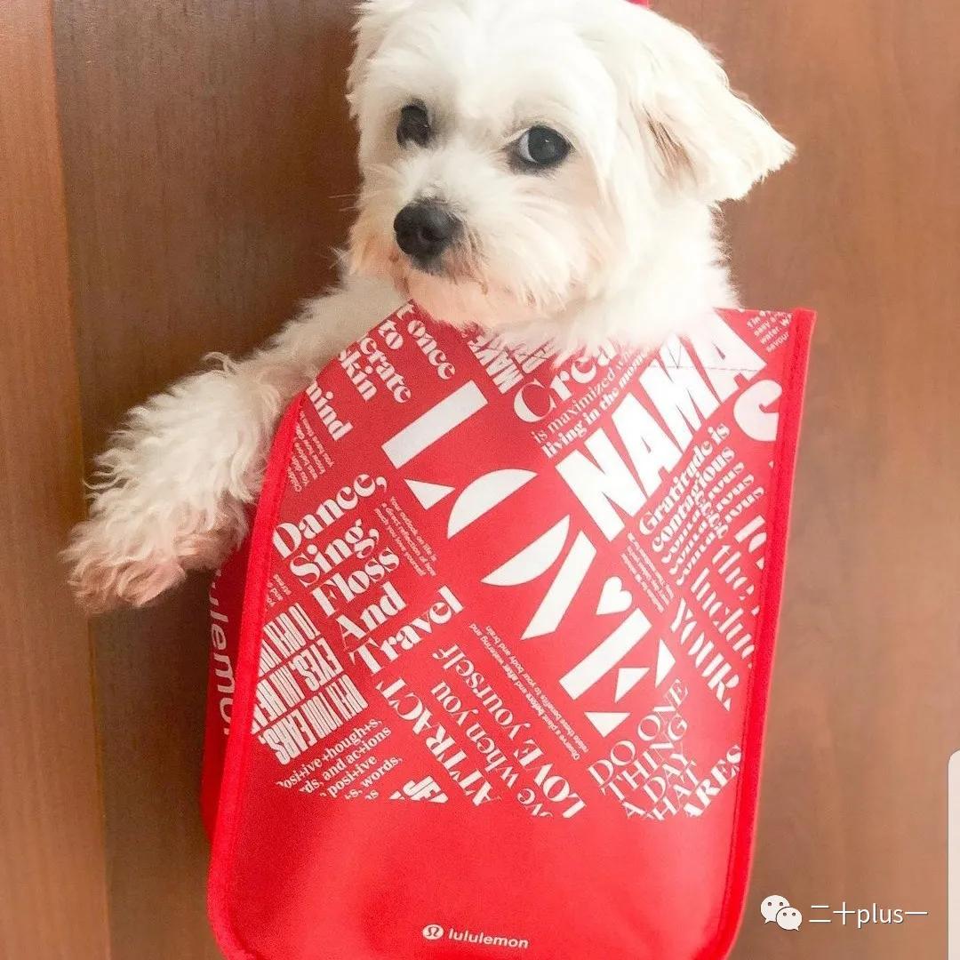 健身服饰品牌,测评健身运动套装