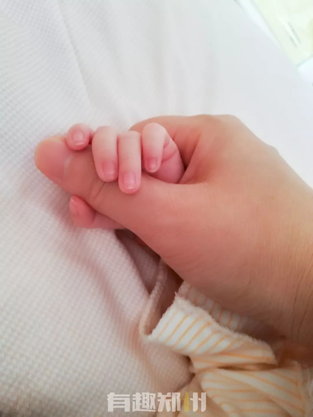 辣妈空翻宝宝翻跟头,辣妈种草机