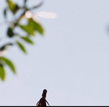 cos蜘蛛侠的姿势可爱,cos蜘蛛侠动画