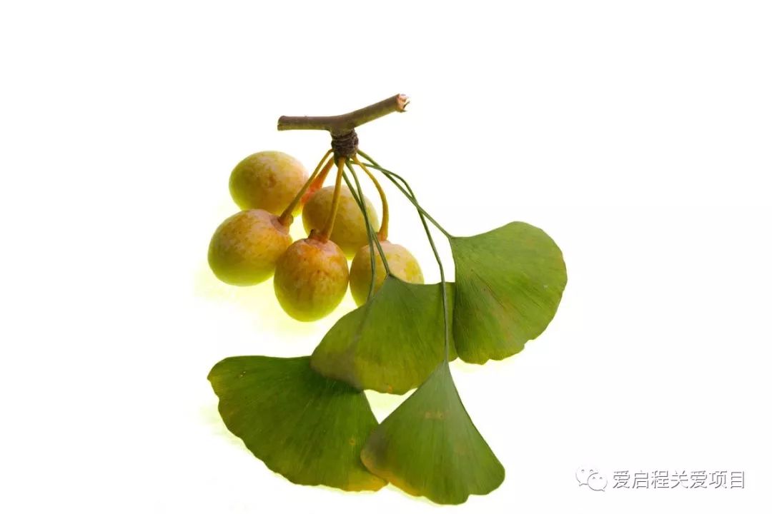 三阴性浸润性乳腺癌吃中药可以吗,乳腺癌化疗期间可以用中药调理吗