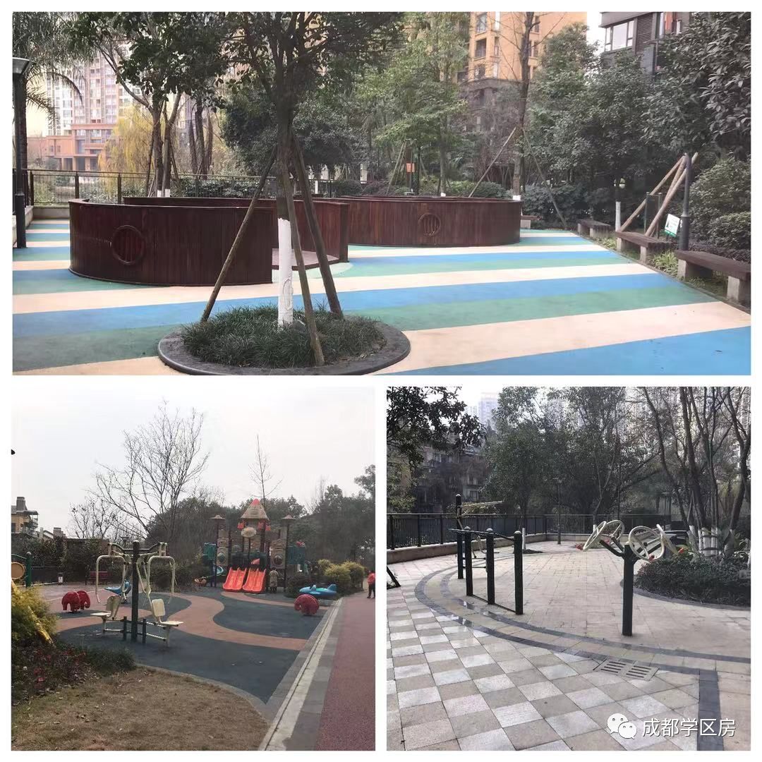 华侨城小学配套什么中学,华侨城对口小学