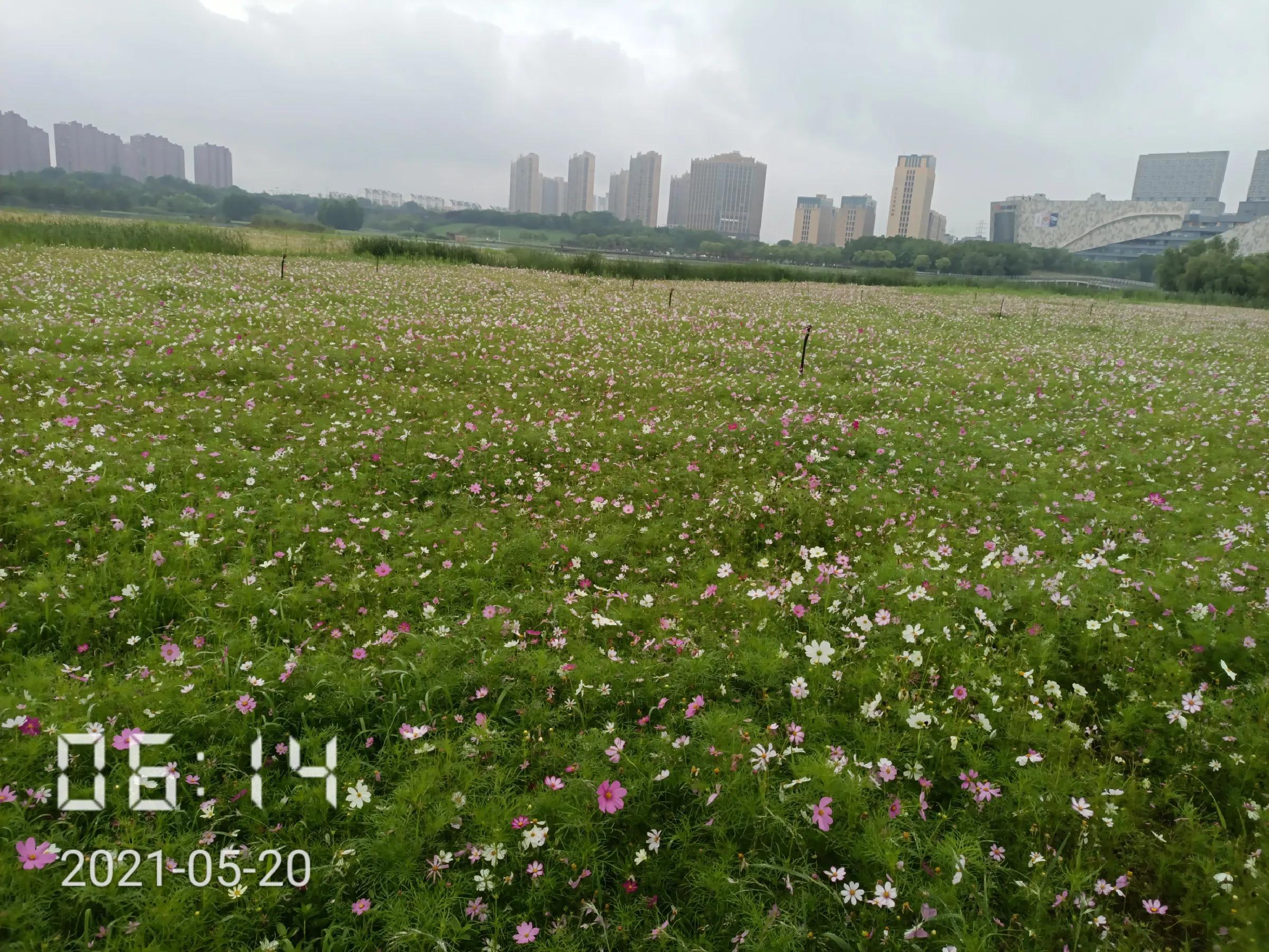 和城管斗智斗勇的一天,跟城管斗智斗勇的一天