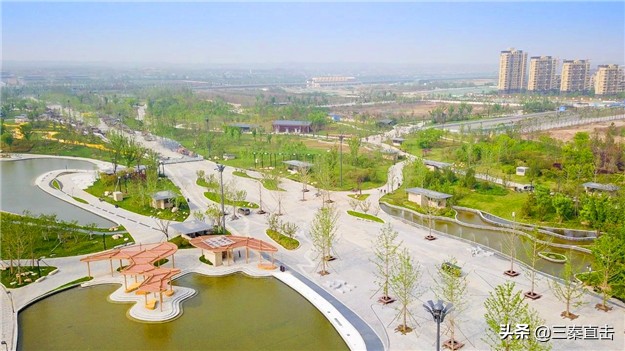 鸽子的家在哪里,鸽子的新家在哪里