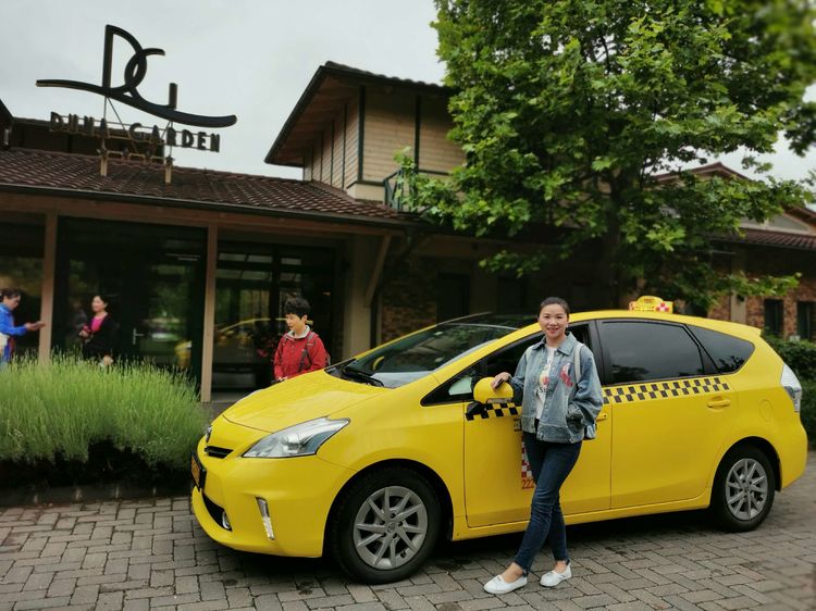 匈牙利的首都,当年陈强曾到此,两个儿子取名“布达”“佩斯”