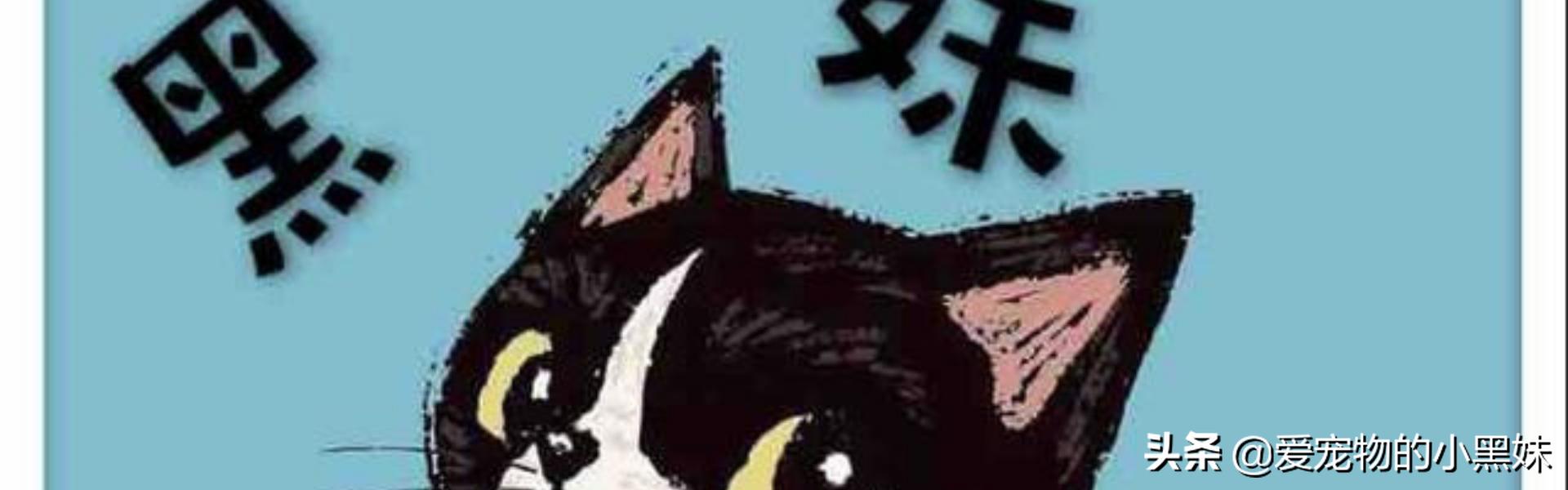 猫的脚癣是什么症状,犬猫特异性皮炎