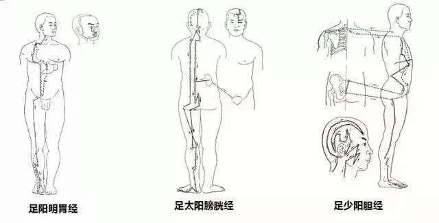 阴阳两虚按摩什么穴位好,腹为阴背为阳