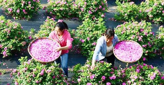 残疾人致富典型案例,想致富有什么门路