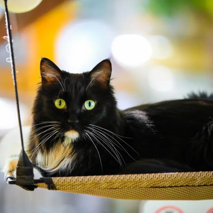 拼头条吗？好姐妹就要一起上啊