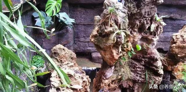 鱼池全部建造过程,鱼池建造大型全过程