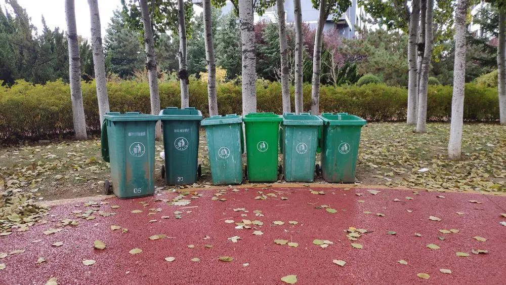 2020年摄影点评部分低分照片合集（下）（前方大量熊猫出没）