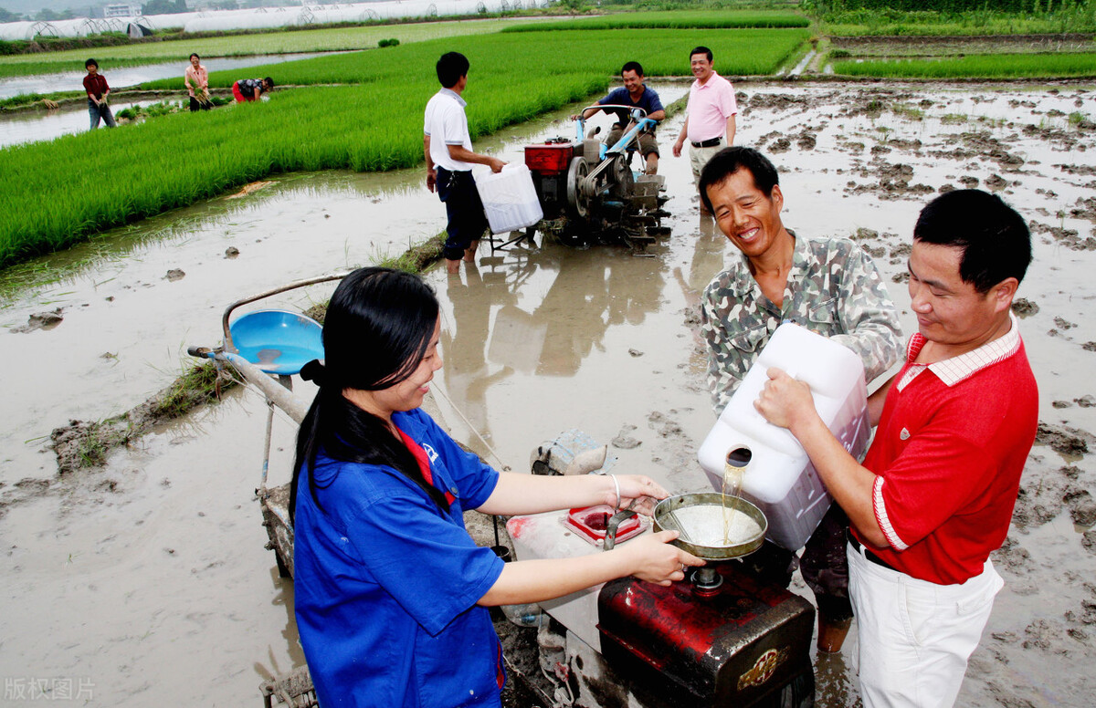 农村插秧干农活真实生活,农村插秧的真实生活