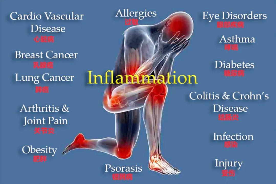 高血压病人经常牙疼是什么预兆,上火牙疼为什么血压也升高了