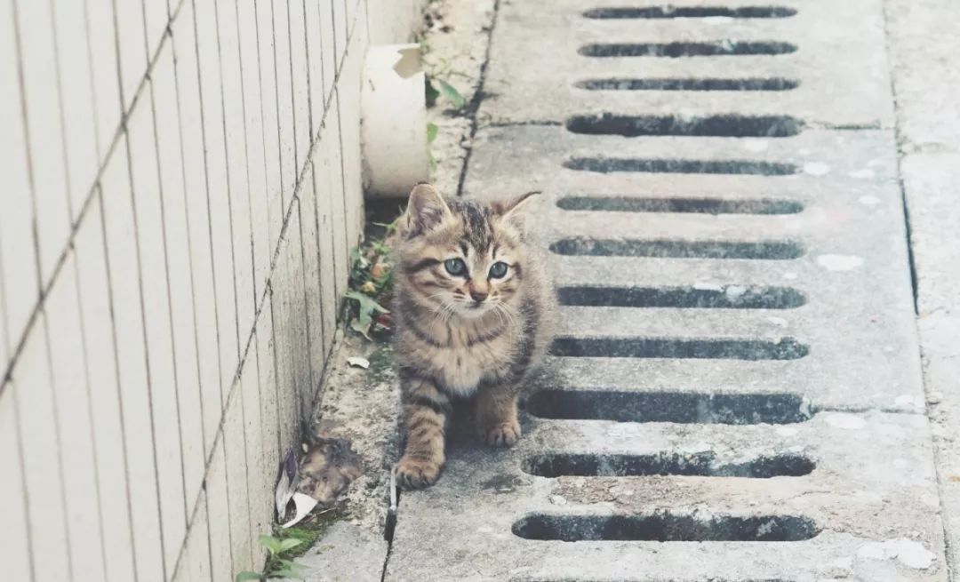 遇见了14号线，遇见城建学院还会远吗？