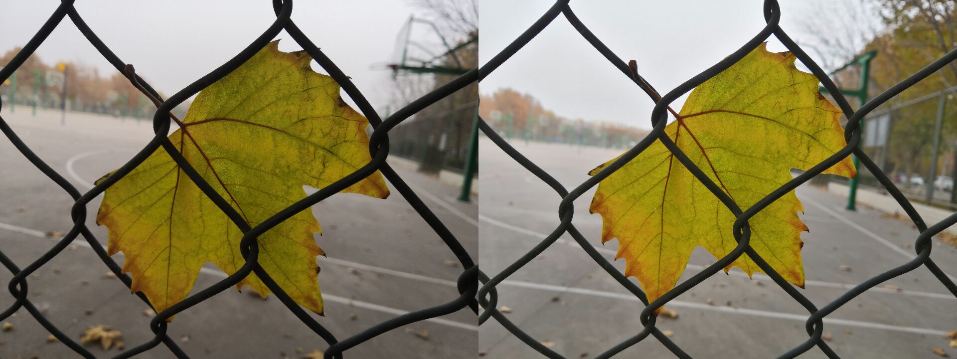 荣耀play5t和畅玩20哪个性价比高,荣耀play2019年还值得入手嘛