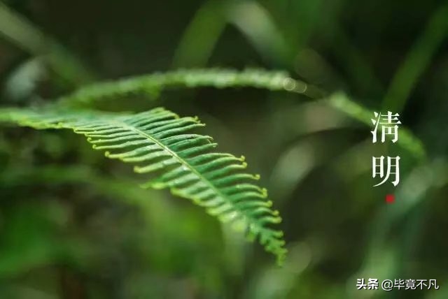 关于清明节的古诗词朗诵,清明节的童谣俗语古诗词