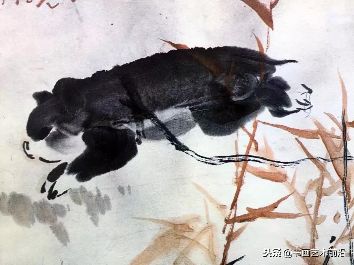 属猪的人2019年11月份运程怎么样,2019年属猪人运势免费