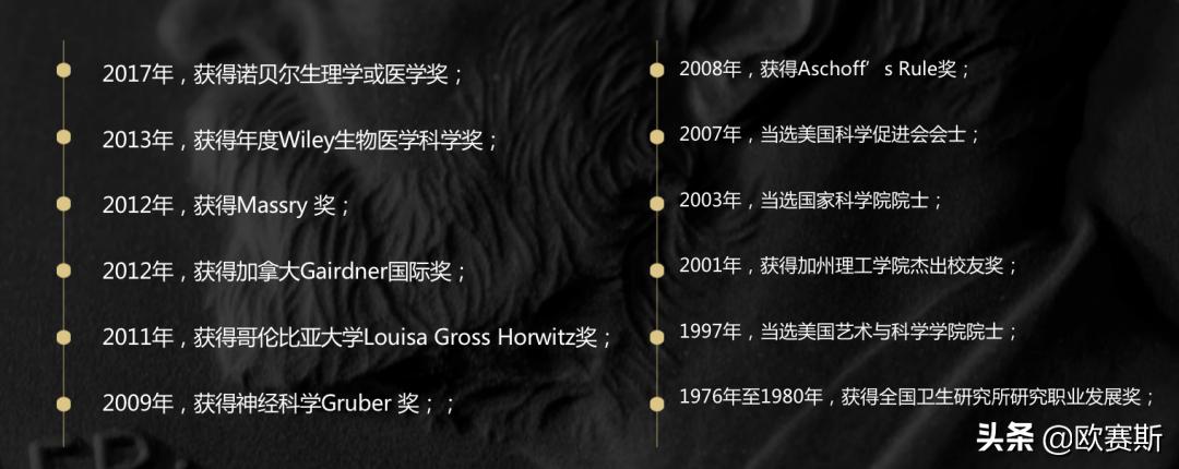 品牌代言人成功案例,品牌代言人选择策略