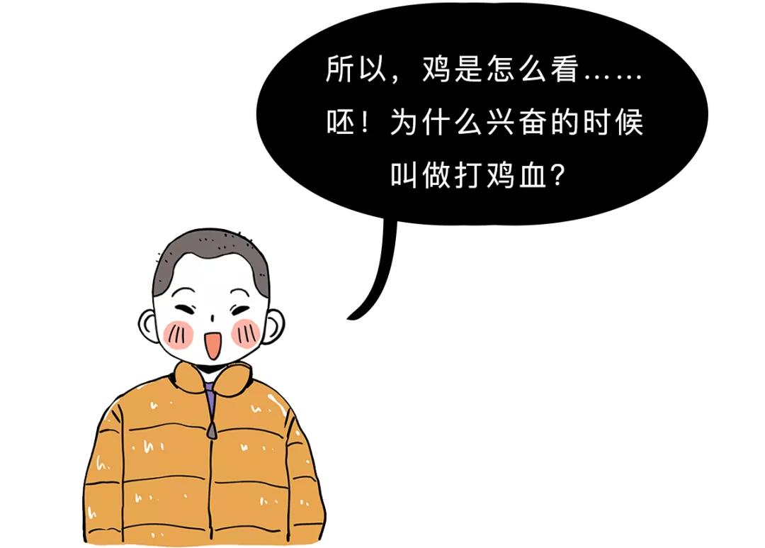 鸭血为什么叫打鸡血,鸡血鸭血有什么区别