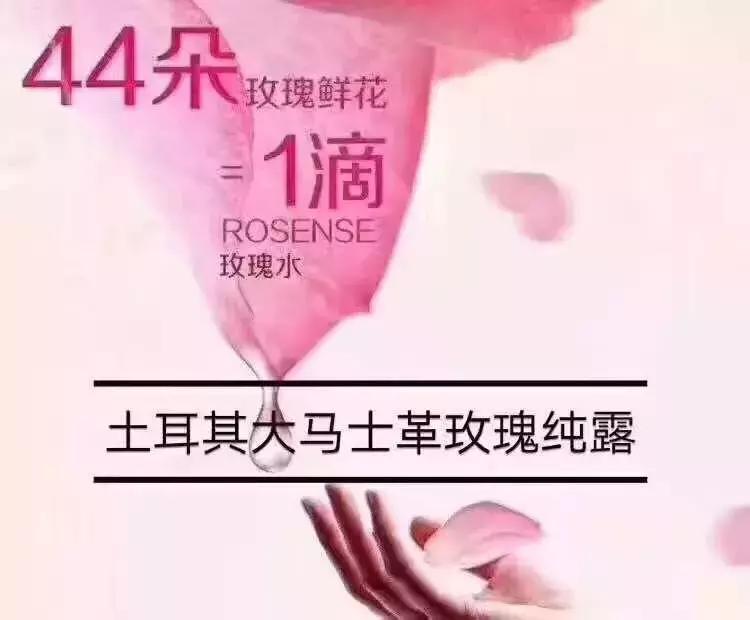 环球旅行我学会了什么,环球旅行一年