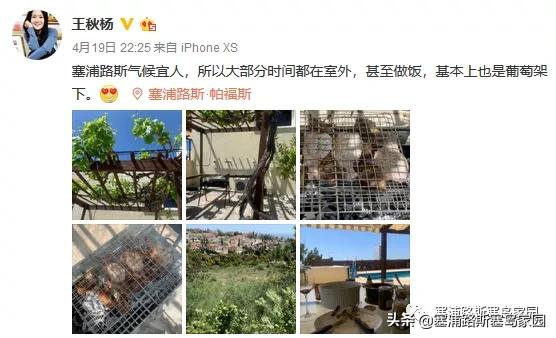 疫情宅日记,关于疫情宅在家里的日记