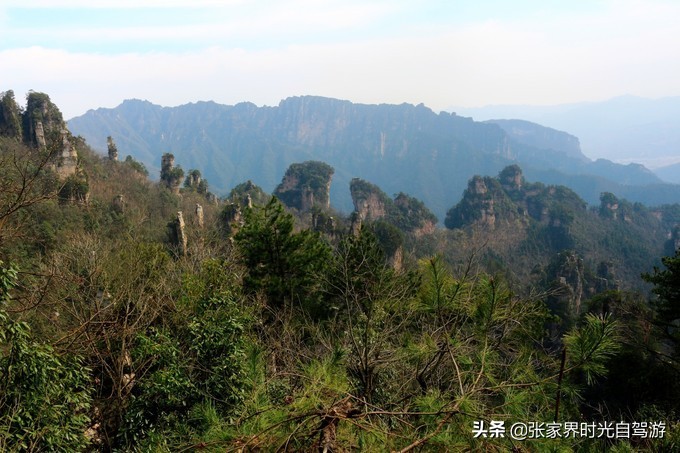 张家界森林公园亲子游攻略,张家界旅游攻略现在张家界气温