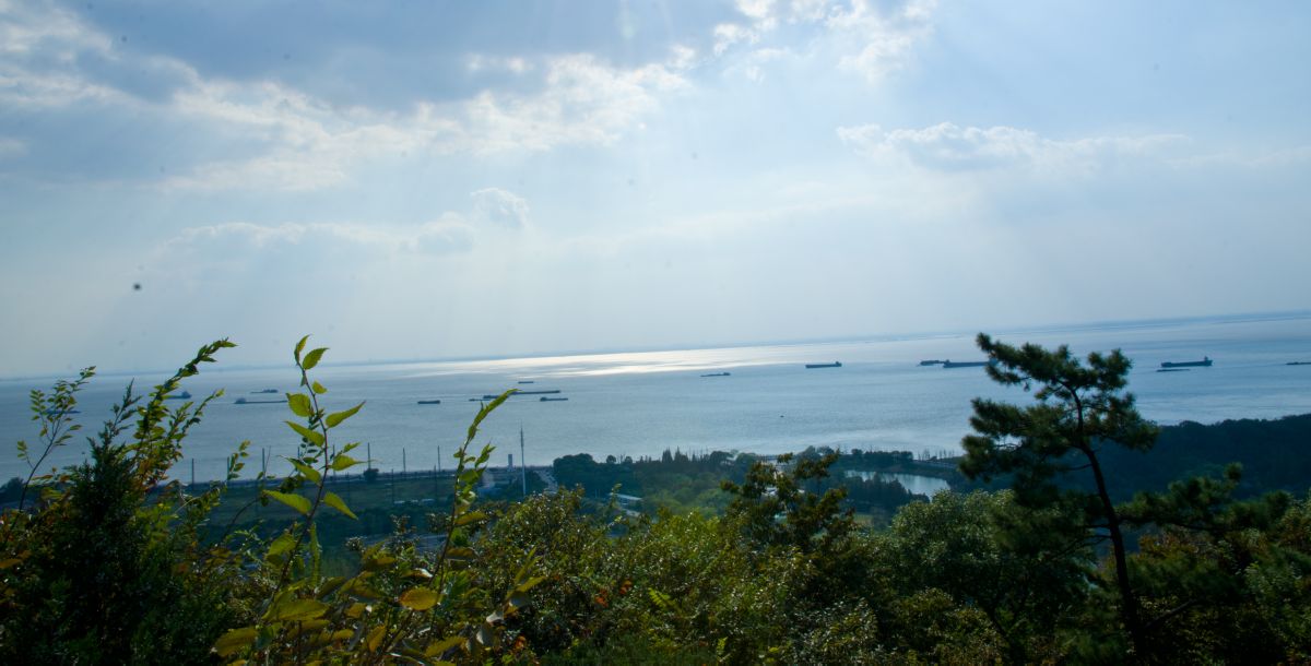 尼康d700的下一代,十年前的尼康d700